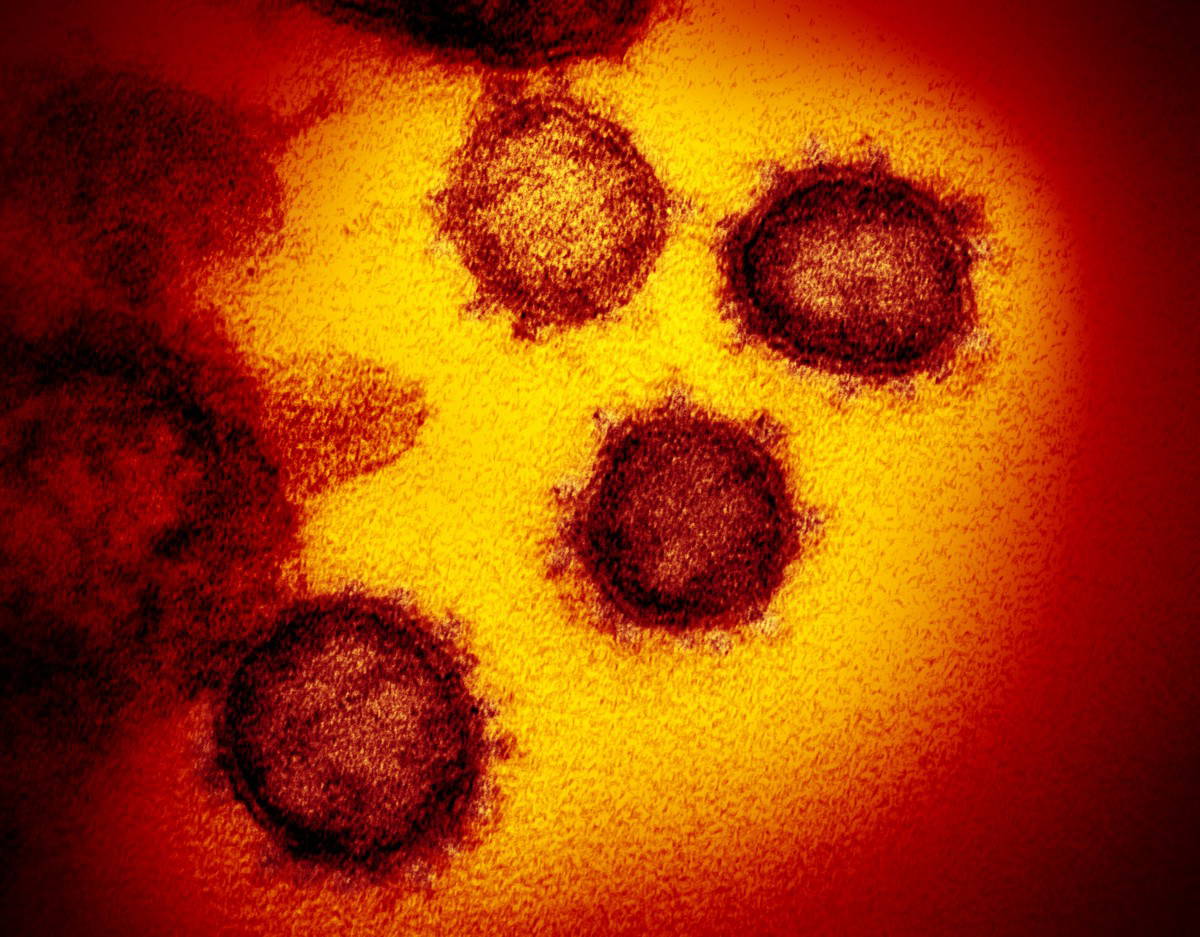 Precautions: Corona Virus